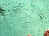 bora bora water 4 